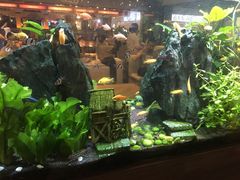 -大家乐(广州中华广场店)