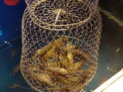 -钳真多钓虾馆·小龙虾海鲜烧烤(九六广场店)