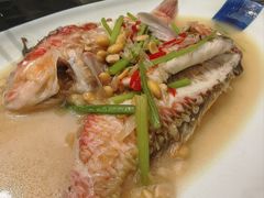 -吴记富苑(朝阳店)