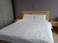 -航廷酒店(深圳宝安机场T3航站楼后瑞地铁站店)