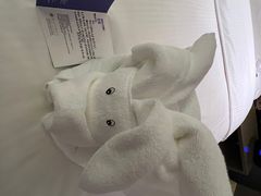 -南京禄口机场雅高铂尔曼大酒店