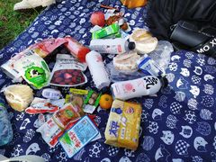 -艾溪湖湿地公园