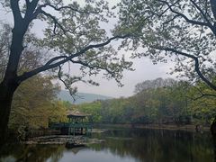 -紫金山山顶公园