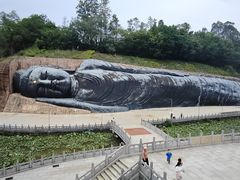 -三水森林公园