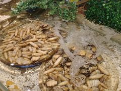 -上海神旺大酒店