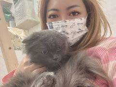 -楼上猫咖(罗湖店)