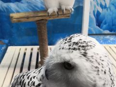 -成都浩海立方海洋公园