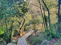 -莫干山风景区