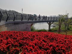 -怡海公园(桂城街道)