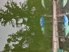 -西安祥峪森林公园