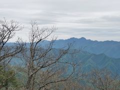 -牛背梁国家森林公园