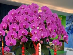-平安金融中心云际观光层