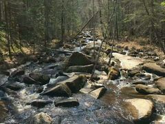 景点-汤旺河林海奇石景区
