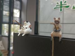 -半岛宠物医院24小时(西派城店)