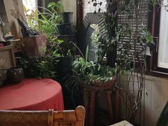 -斯多格书乡(北京大学畅春园店)