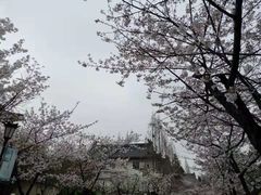-南京城墙景区
