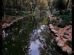 -上海共青森林公园