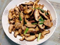 -家家月嫂育婴师育儿嫂(龙岗直营店)
