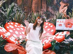 -正佳雨林生态植物园