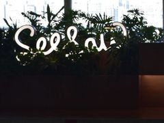 -Seesaw Coffee(朝阳大悦城店)