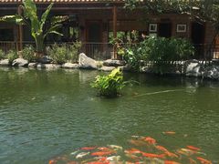 -大门水乡·顺德菜