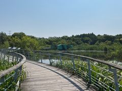 -西湖风景区-江洋畈生态公园