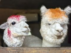 -珠海海泉湾神秘岛亲子乐园