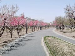 -东郊湿地公园