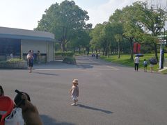 -东方绿舟景区
