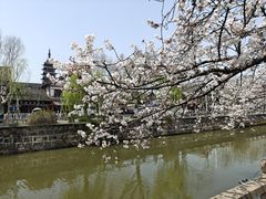 -常熟方塔园