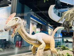 -辽宁古生物博物馆