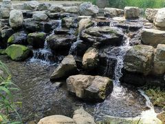 -白水寺森林公园
