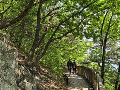 -帽儿山国家森林公园