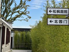 -上海滨江森林公园