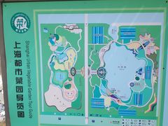 -上海都市菜园