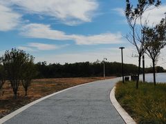 -东堤公园