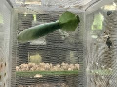 -上海昆虫博物馆