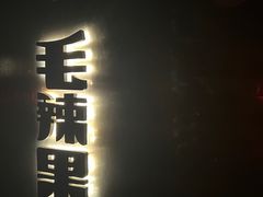 -毛辣果·酸