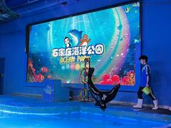 -石家庄海洋公园