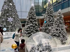 -SM城市广场(扬州店)