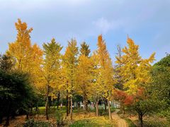 -宝界山林公园