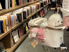 -茑屋书店(天目里店)