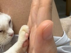 -山宅一喵德文卷毛猫舍
