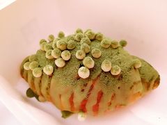 抹茶咩咩-奈雪的茶(花城汇中区PRO店)
