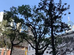 -大馆(前中区警署建築群)