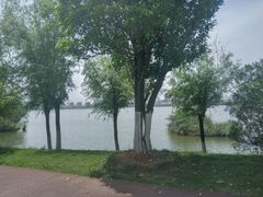 -艾溪湖湿地公园