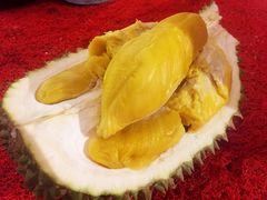 -都念榴莲·城市榴莲