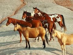 android_upload_pic-星达影城(建业街店)