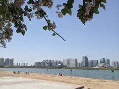 -天鹅湖体育公园