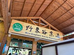 -野象谷景区